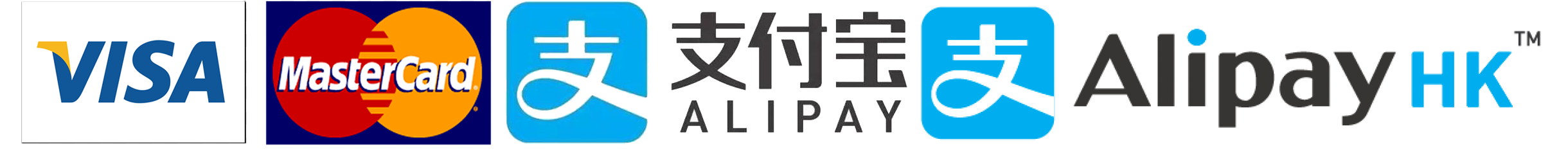 payment logo